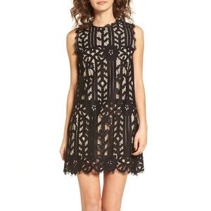 Lace Shift Dress